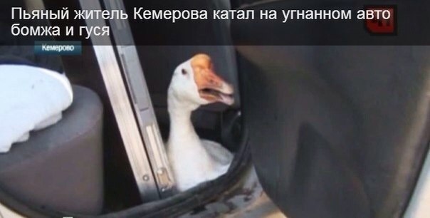 - 3  2016  14:01
