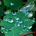 ������� 2015 �� ������� �����ܻ