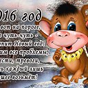 ���� ������, ������������, 48 ��� - ��������� 1 ������ 2016 � ������ ���� ����������