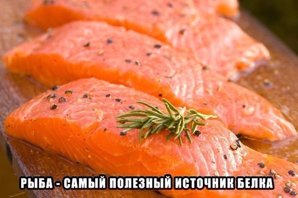 Пользу жирной рыбы сравнили с действием лекарств.Результаты мета-анализа, опубликованные сегодня в ...