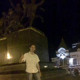 ����, �������, 41 ���