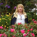  , -, 64  -  11  2016   ,  2016 