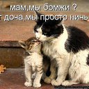  ,  -  2  2015    