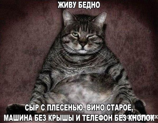     - 10  2015  18:01