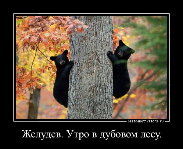 ***Victoria Viktorovna*** - 1  2016  07:11