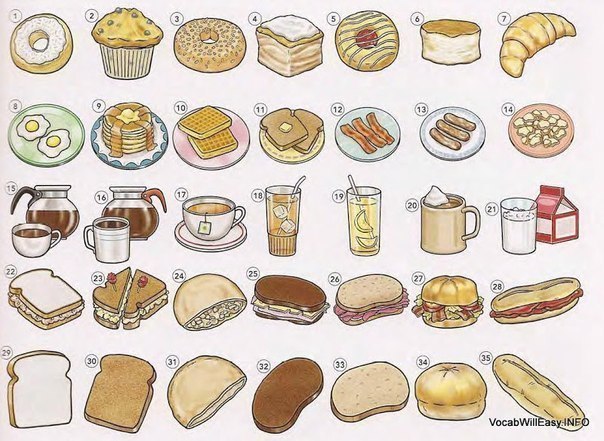 THE COFFEE SHOP AND SANDWICHES.1. donut - 2. muffin - 3. bagel - 4. bun -  ...