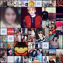  , , 50  -  24  2016    