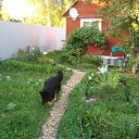 ���� ����, ������, 64 ���� - ��������� 5 ����� 2016 � ������ ������ ��������