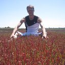  Zevs, , 38  -  11  2015    