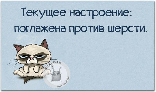   - 20  2016  02:17