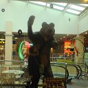 ���� ������, �����, 44 ���� - ��������� 2 ������� 2015 � ������ ������ ��������