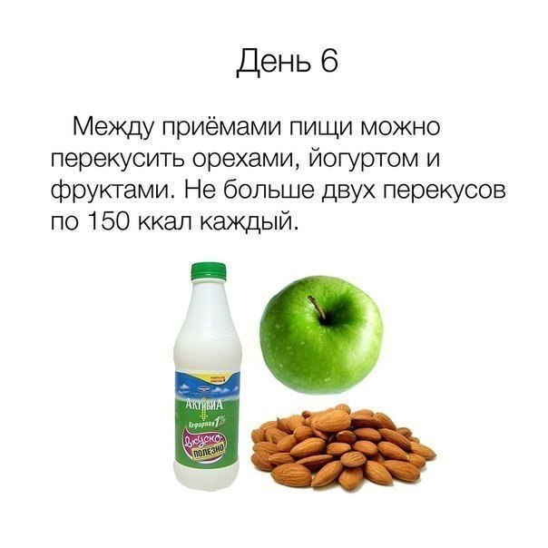      17 .      ,   ... - 6