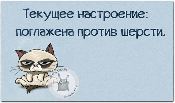   - 20  2016  02:17