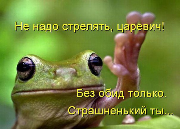   !!! - 3  2015  21:21