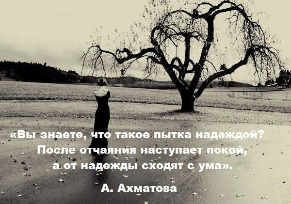 , , . - 6  2015  20:36