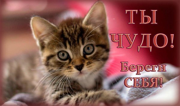Давным-давно Господь принял решение – очень важное решение….Он задумал создать тебя.Те руки, что ...