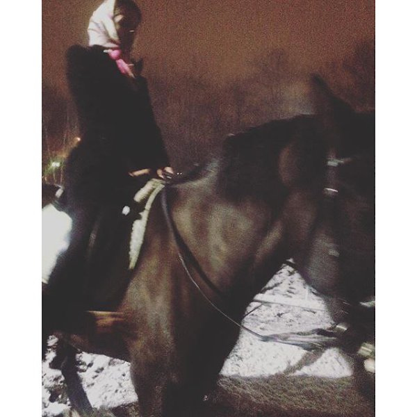 ������ ����� - 23 ������ 2015 � 16:00