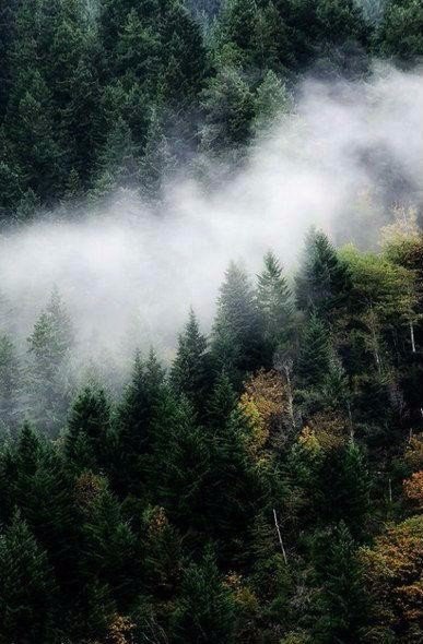 � �������� ������� ���, � ��� ��� ��� ����� ��� �������, � ��� ������ ��� �����, ��� ������ �����. � ... - 4