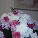 ���� �����, ���������, 62 ���� - ��������� 11 ������� 2015 � ������ ���� ����������