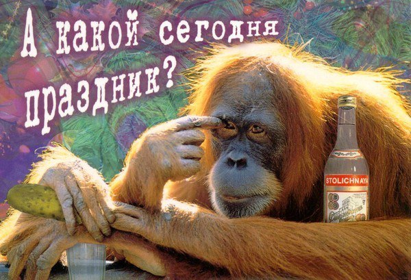     !. -     ,    ...