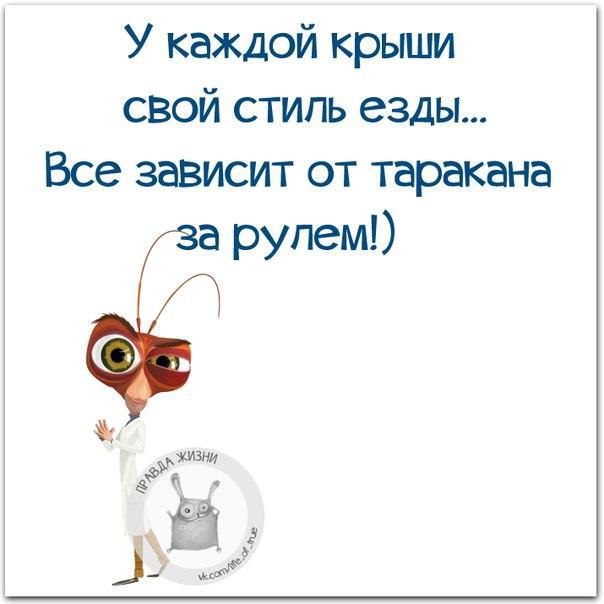   - 16  2016  19:15