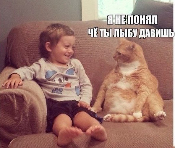     - 3  2015  19:58