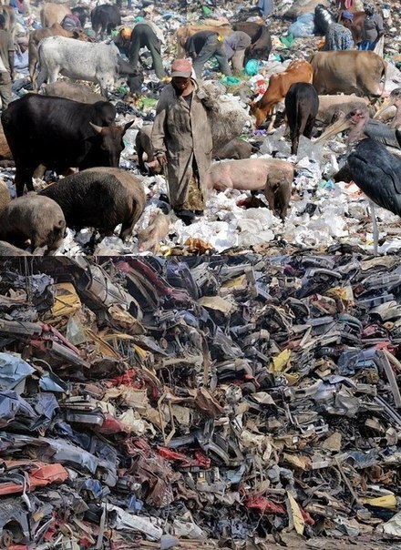 ��� ���. ����� ����, ��� ������� ��. - 6