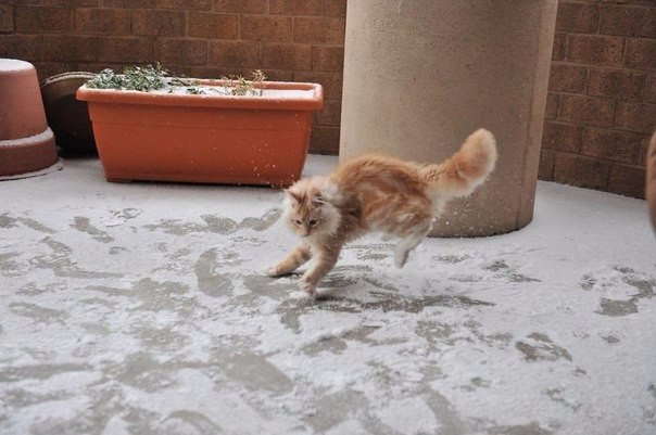 ,    . #@https://fotostrana.ru/away?to=/sl/XE2