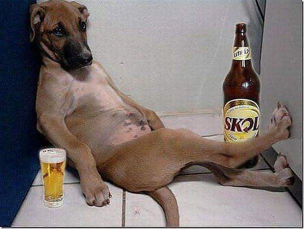    ))