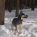 ���� ��������, ��������, 57 ��� - ��������� 6 ������� 2016 � ������ �����2016�