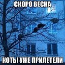 ���� ��-��-��, �����-��������� - ��������� 27 ������� 2016 � ������ ���� ����������