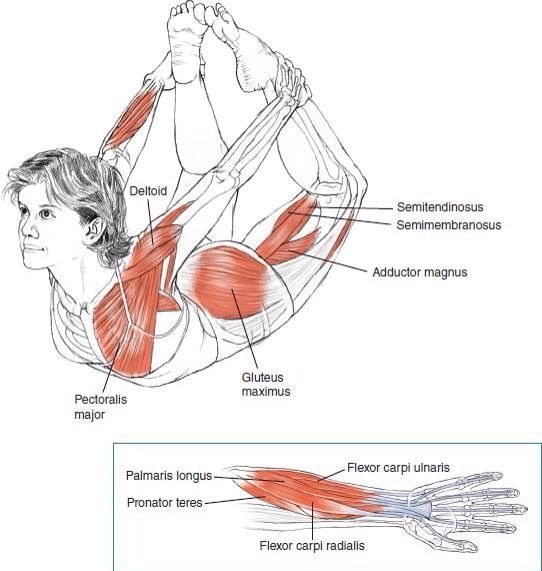    .         ,   ... - 9