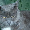  , , 59  -  1  2015     ޻