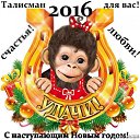 ���� ����, �����-��������� - ��������� 31 ������� 2015 � ������ ������ ��������