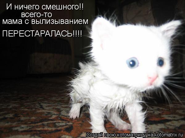 � ����� ���� - 2 ������� 2015 � 12:02