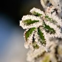  ••,  -  15  2015   