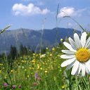 ���� Gali, ����, 53 ���� - ��������� 28 �������� 2015 � ������ ���� ����������
