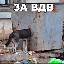 ���� ������, ���������, 37 ��� - ��������� 6 ������� 2015 � ������ ������ ��������