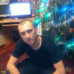 �������, �������-����������, 38 ���