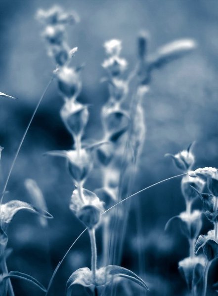 ����� ���� �����.. - 3 ����� 2016 � 22:53 - 6