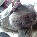 ���� ���������, ������, 46 ��� - ��������� 1 ������� 2016 � ������ ���� ����������