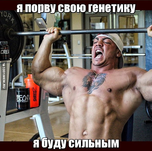  -   - 11  2015  14:35