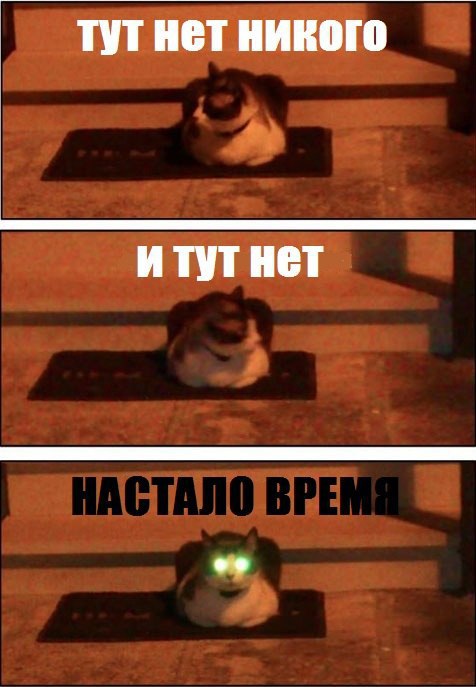       - 25  2016  03:32