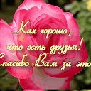 ���� ����, ��������, 68 ��� - ��������� 24 ������� 2015 � ������ ������ ��������