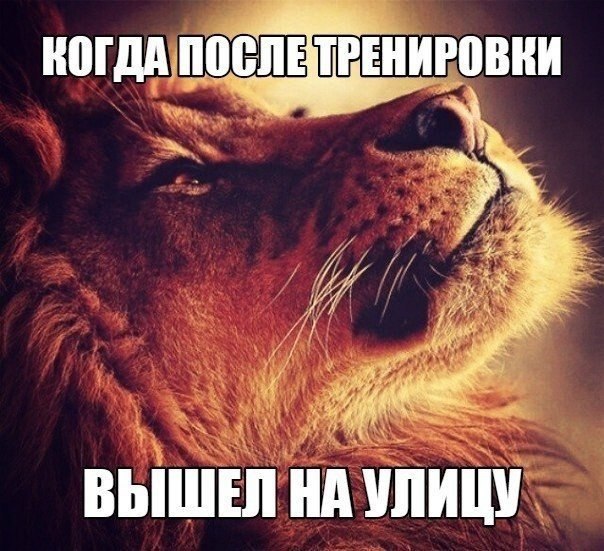 ? #@fitness.blog