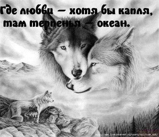   - 10  2015  21:40