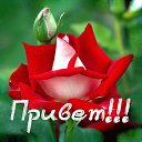 ���� �����, ������������ - ��������� 24 ������� 2015 � ������ �������3�