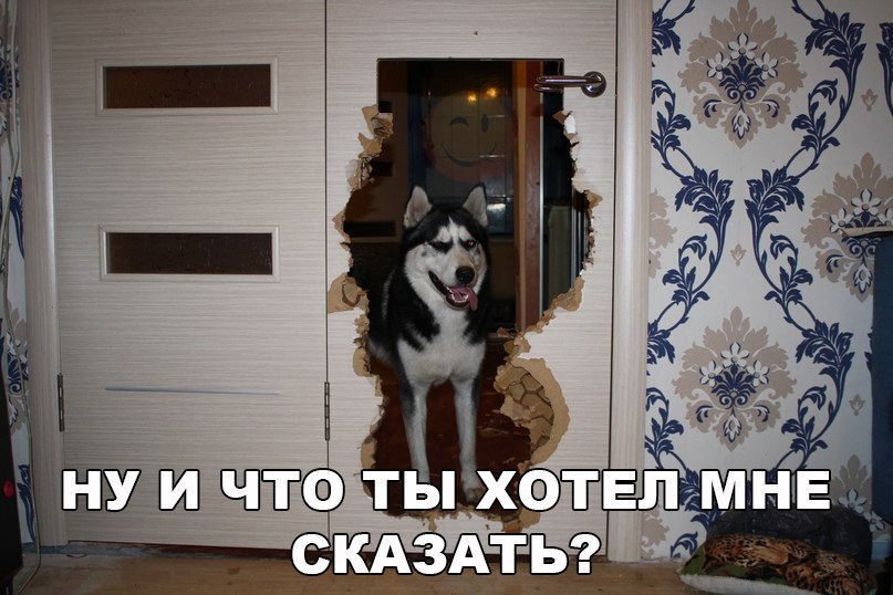    :-) - 5  2016  08:01