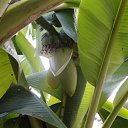 ����� ��������������� ����... �� ������� �������