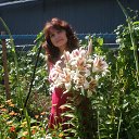 ���� �����, �����-��������� - ��������� 2 ����� 2016 � ������ ���� ����������